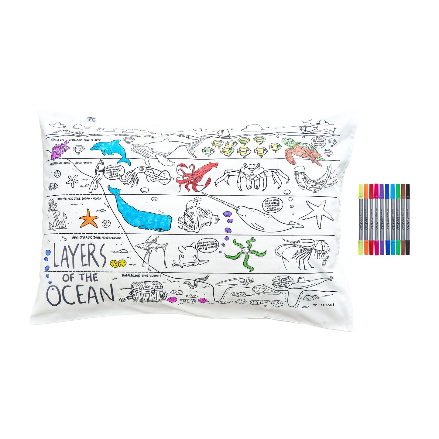 Coussin à colorier 75x50cm