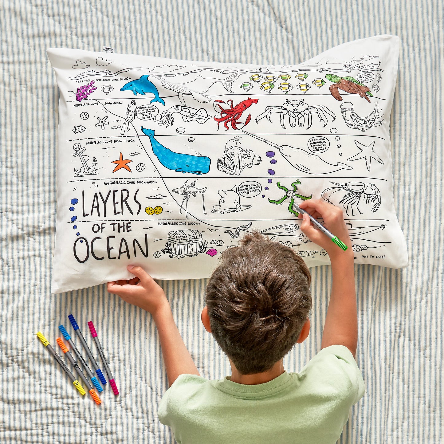 Coussin à colorier 75x50cm